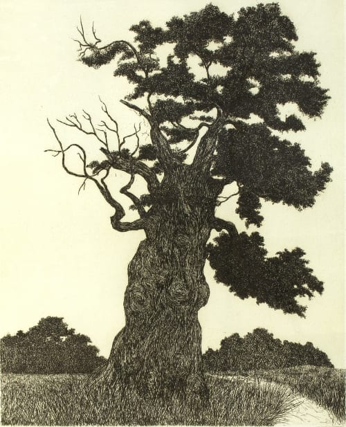 Francis Robert Kelly comparable auction result: francis robert kelly american 1927 2012 old oak tree signed limited edition 13 50 etching 48 5cm x 39cm