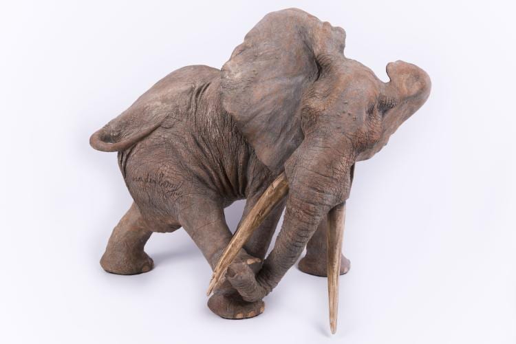 François  van den Berghe comparable auction result: fran ois vandenberghe 1951 l pine