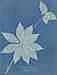 Anna Atkins comparable auction result: anna atkins 1799 1871 mediola arginica bangor us 1852 1854 titled in