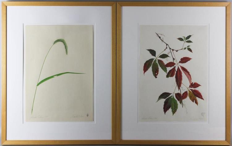 james linton sain american 1936 2009 foxtail grass and virginia creeper watercolor 16 x 11 1 4 in each · Potomack Company · 2017-07-25 James Linton Sain comparable auction result: james linton sain american 1936 2009 foxtail grass and virginia creeper watercolor 16 x 11 1 4 in each