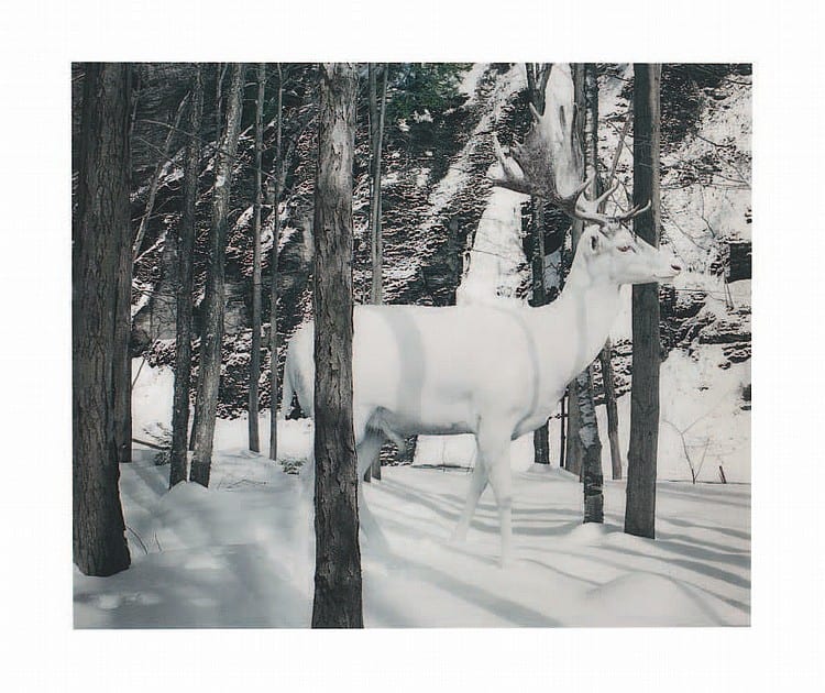 Simen Johan comparable auction result: simen johan b 1973 untitled 140 from until the kingdom