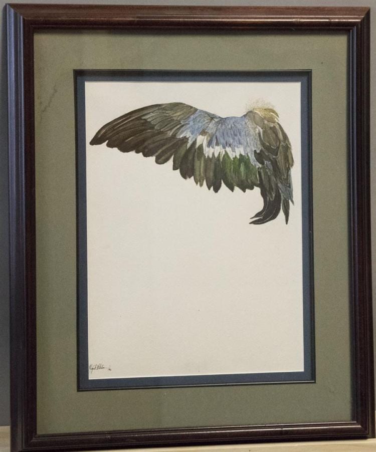Maggie Wheelock comparable auction result: maggie robertson formerly wheelock st louis b 1974 mallard wing study 1996 watercolor on paper 14 x 10 inches