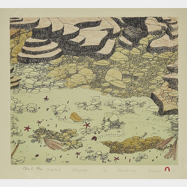 Suvinai Ashoona comparable auction result: suvinai ashoona 1961 tide pool lithograph unframed 14 x 16 35 6 x 40 6 cm