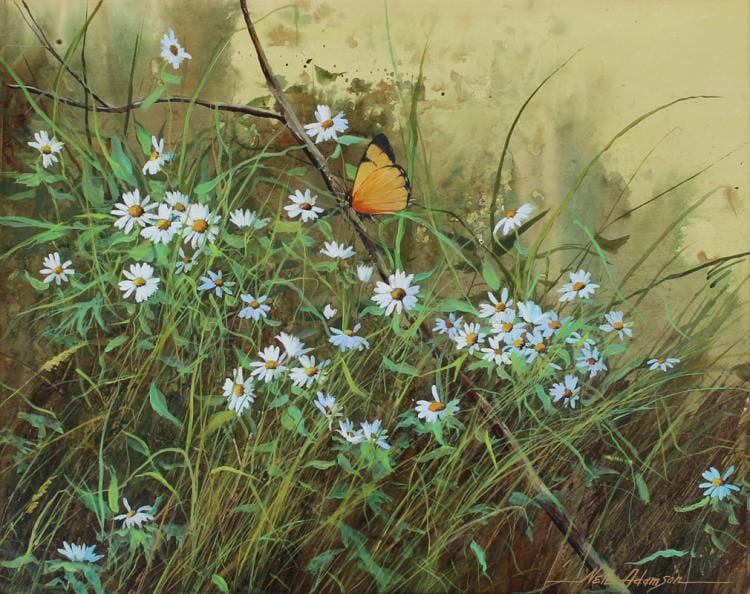 Neil Adamson comparable auction result: neil adamson original painting daisies