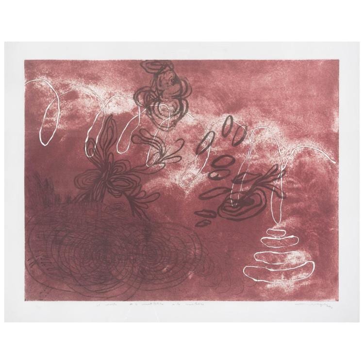Magali Lara comparable auction result: magali lara el salto de lo cuantitativo a lo cualitativo signed and dated 2006 etching 4 50 60 x 80 cm 23 6 x 31 4 inches