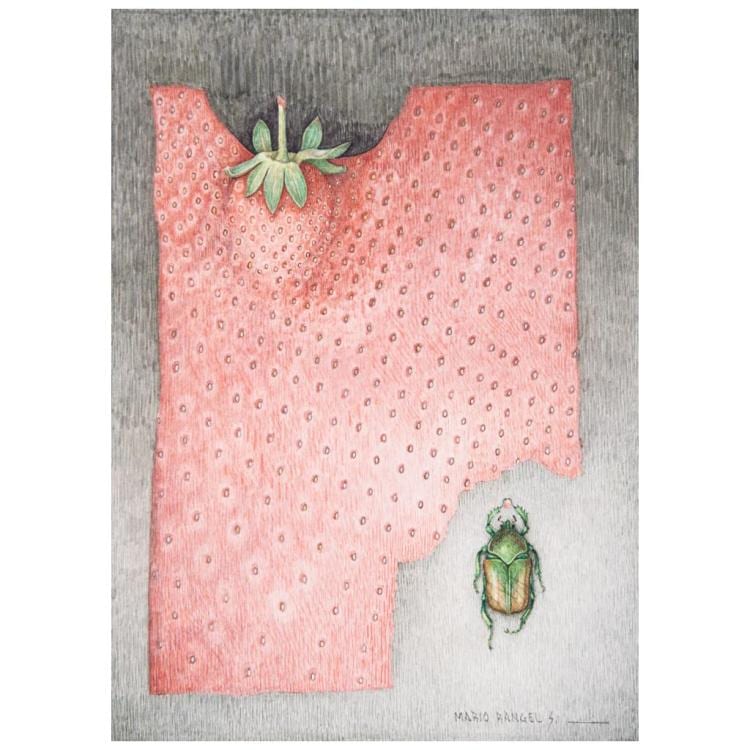 Mario Rangel comparable auction result: mario rangel el cort n signed watercolor graphite pencil and markers on paper 34 x 19 8 cm 13 3 x 7 7 inches