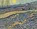 Vincent van Gogh (1853-1890) - Laboureur dans un champ comparable sale