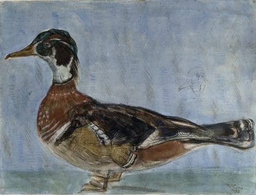 Leonard McComb comparable auction result: leonard mccomb british born 1930 duck signed and dated 1993 watercolour 31cm x 40cm exhibited browse darby nov 1993 no 14