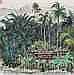 Wu Guanzhong (1919-2010) - Scenery of Xishuangbanna comparable sale