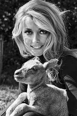 Philippe Le Tellier comparable auction result: philippe le tellier 1930 2011 sharon tate n est gu re apparue jusqu