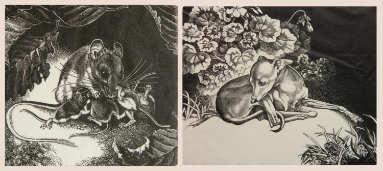 Dorothy Lathrop comparable auction result: dorothy lathrop 2 wood engravings