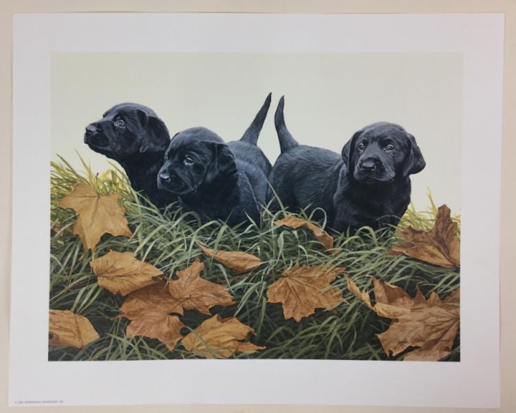 John Weiss comparable auction result: john weiss signed print lab puppies