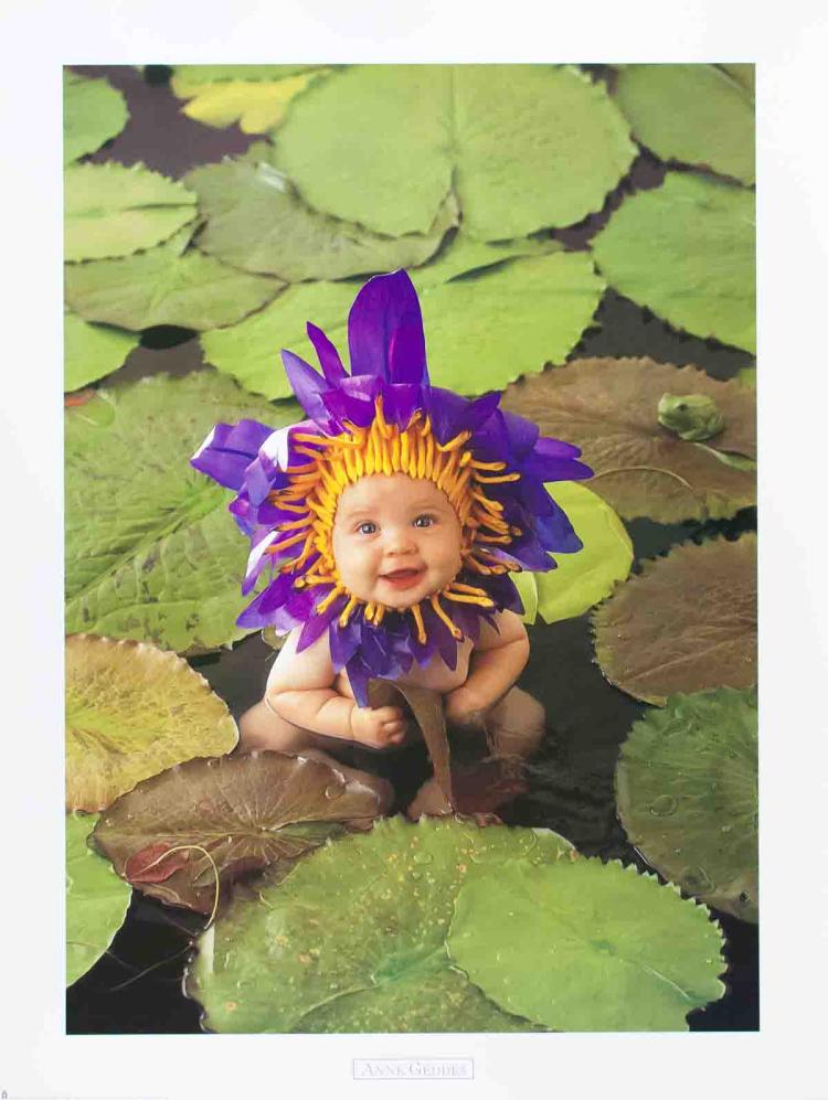 Anne Geddes comparable auction result: anne geddes baby pond 1999