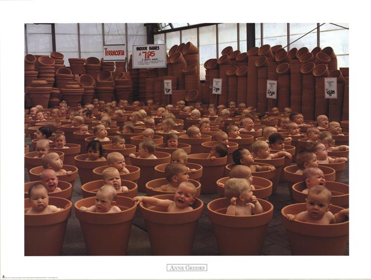 Anne Geddes comparable auction result: anne geddes indoor babys 1999