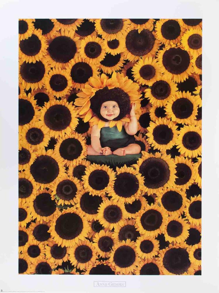 Anne Geddes comparable auction result: anne geddes sunflower 1999