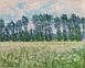 Claude Monet (1840-1926) - Prairie à Giverny comparable sale