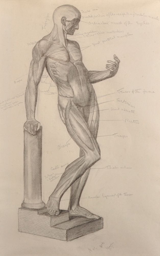 Estella Louisa Michaela Canziani comparable auction result: estella canziani 1887 1964 british a study from an echorche leaning against a broken pillar black chalk extensively annotated and dated nov 8th 1905 27 x 16 5