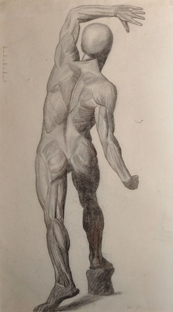 Estella Louisa Michaela Canziani comparable auction result: estella canziani 1887 1964 british a study from an echorche from the back black chalk dated nov 12 29 x 16 25 and another by the same hand two 2