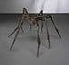 Louise Bourgeois (1911-2010) - Spider III comparable sale