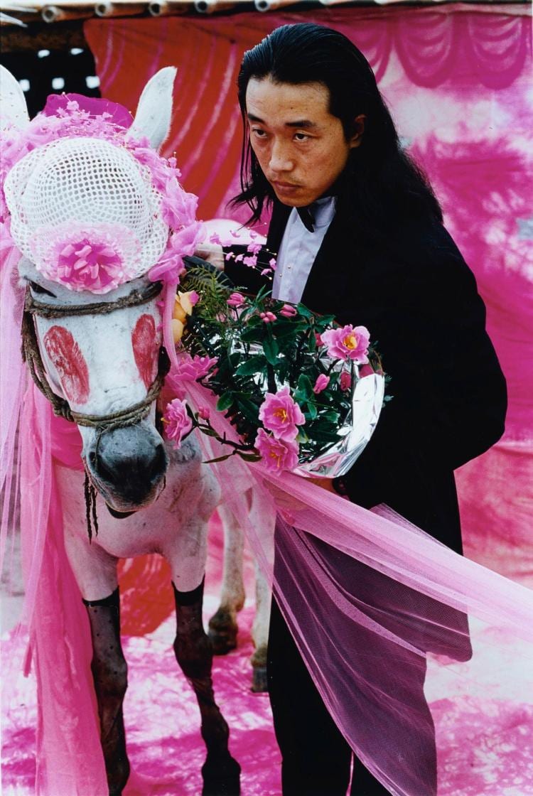 Wang Jin comparable auction result: wang jin to marry a mule