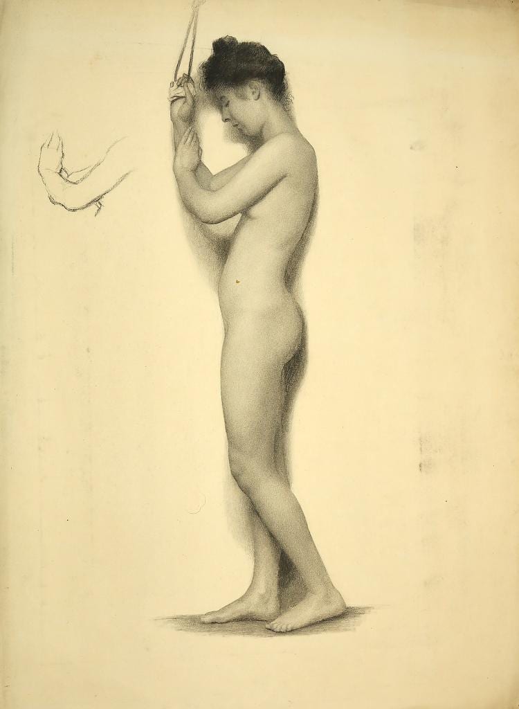 Estella Louisa Michaela Canziani comparable auction result: estella louisa michaela canziani english 1887 1964 arr standing beauty charcoal on buff paper 76 x 55 5cm 30 x 22in unframed