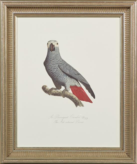 Francois Levaillant comparable auction result: francois levaillant 1753 1824 the emerald parakeet 20th c colored print from his histoire naturelle des perroquets prese