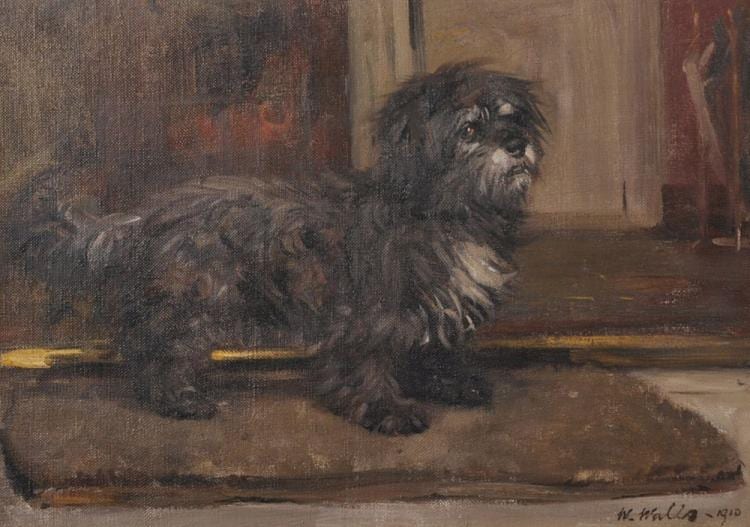 William Walls comparable auction result: william walls 1860 1942 british a glen of imaal terrier oil on canvas laid down signed and dated 1910 11 x 15