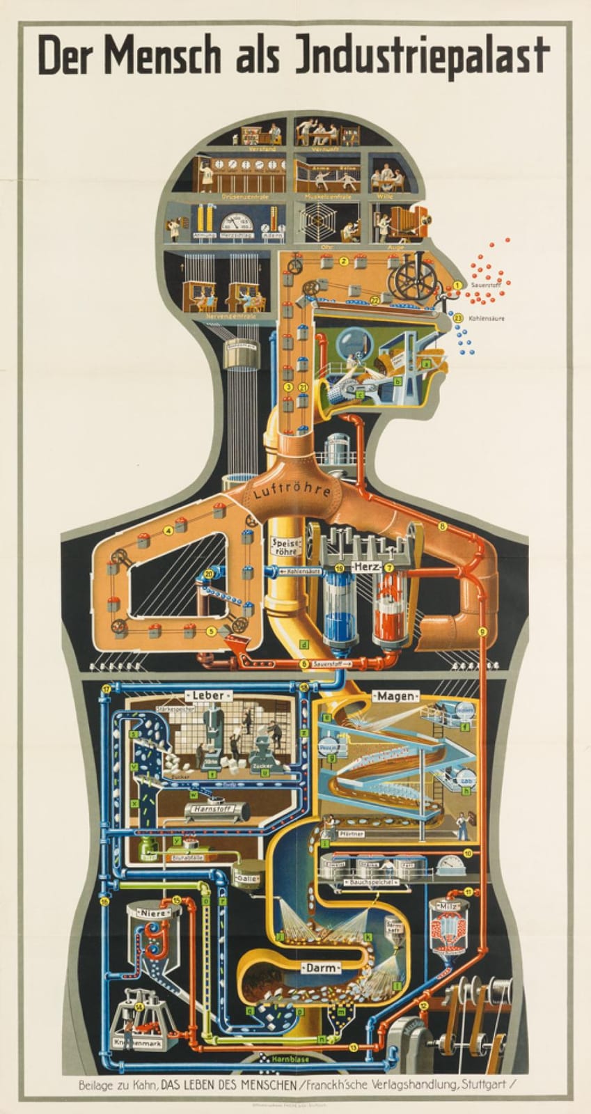 Fritz Kahn comparable auction result: fritz kahn 1888 1968 der mensch als industriepalast 1926 38x19 inches 97x49 cm fricke co stuttgart
