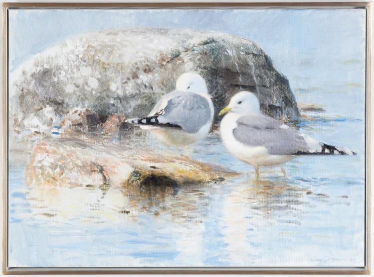 Lars Jonsson comparable auction result: lars jonsson seagulls
