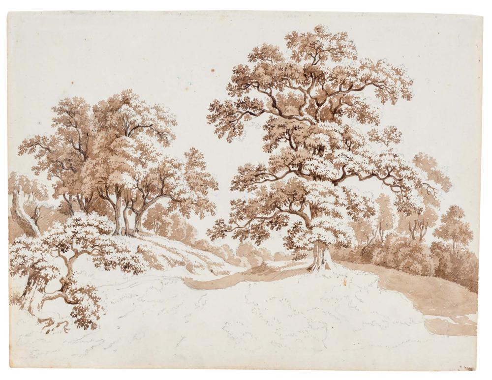 Pierre Louis de La Rive comparable auction result: pierre louis de la rive 1753 1817 paysages 2 lavis s pia et crayon de graphite sur papier 31 5x38 et 18x23 5 cm
