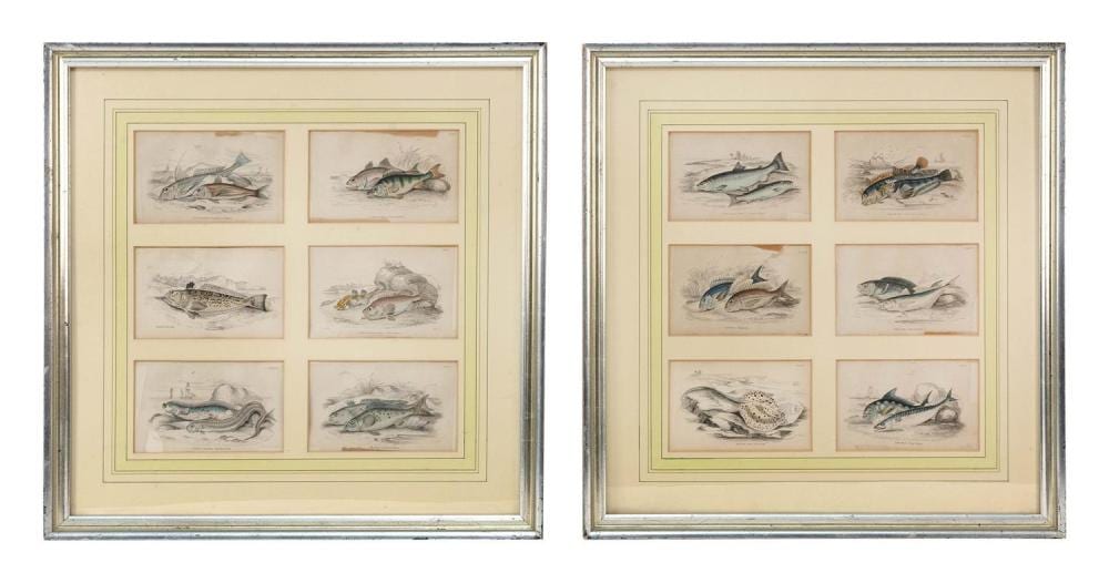 William Home Lizars comparable auction result: william home lizars scottish 1788 1859 twelve book plates of saltwater fish each 4 x 6 sight framed 21 5 x 21 5