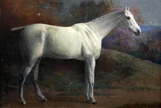 frank p mahony 1862 1916 portrait of a grey horse smoke 13 5 x 19 5in · Gorringes · 2018-06-26 Frank P. Mahony comparable auction result: frank p mahony 1862 1916 portrait of a grey horse smoke 13 5 x 19 5in