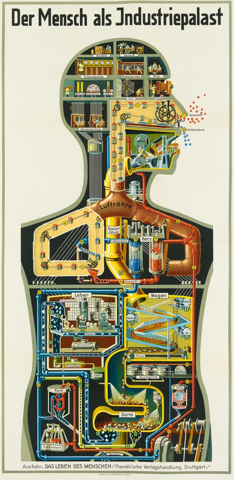 Fritz Kahn comparable auction result: fritz kahn 1888 1968 der mensch als industriepalast 1926 38x18 inches 96x47 cm fricke co stuttgart