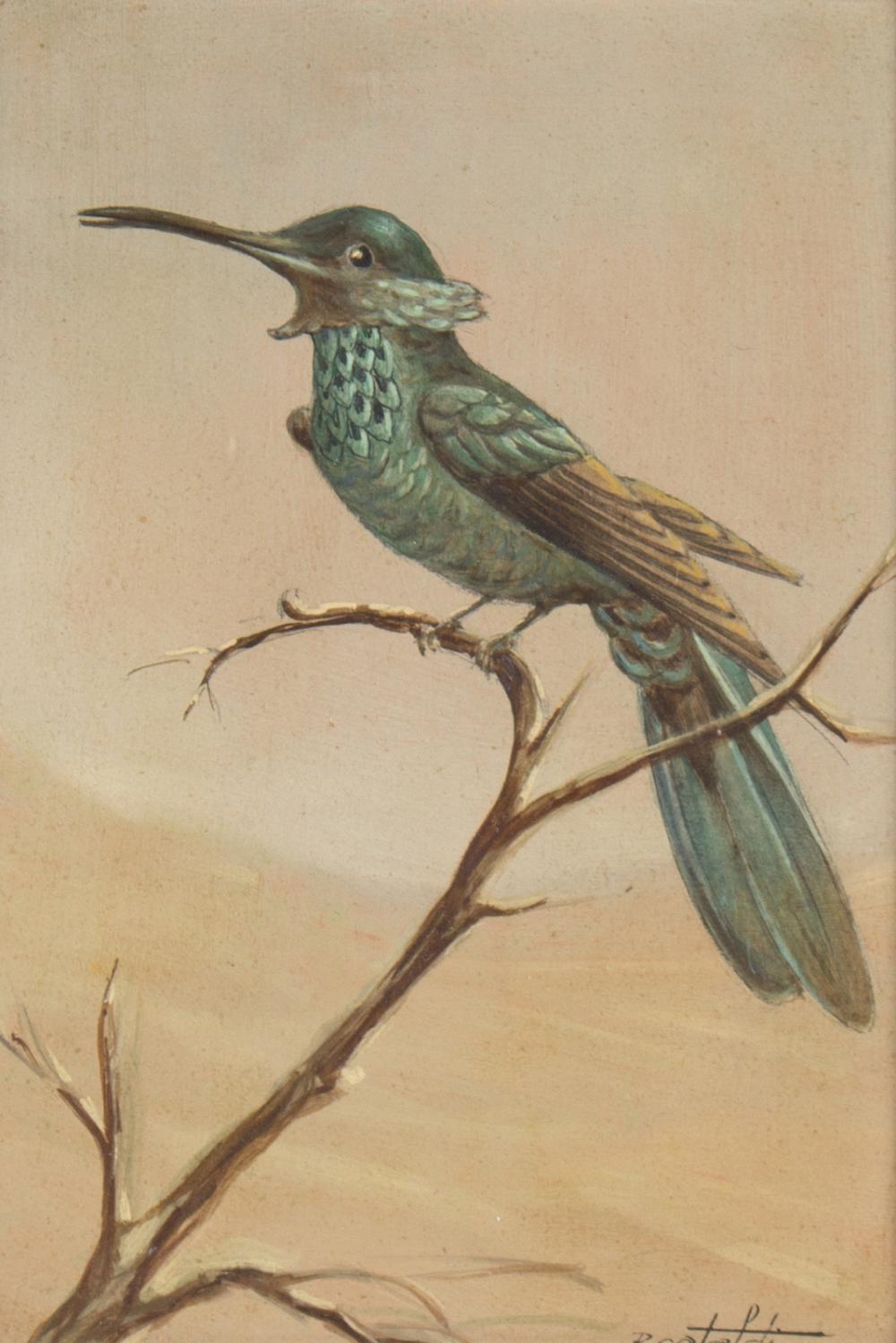 Renato Cataldi comparable auction result: renato cataldi brazilian 1909 1981 hummingbird signed oil on panel 20cm x 14cm provenance the tryon gallery