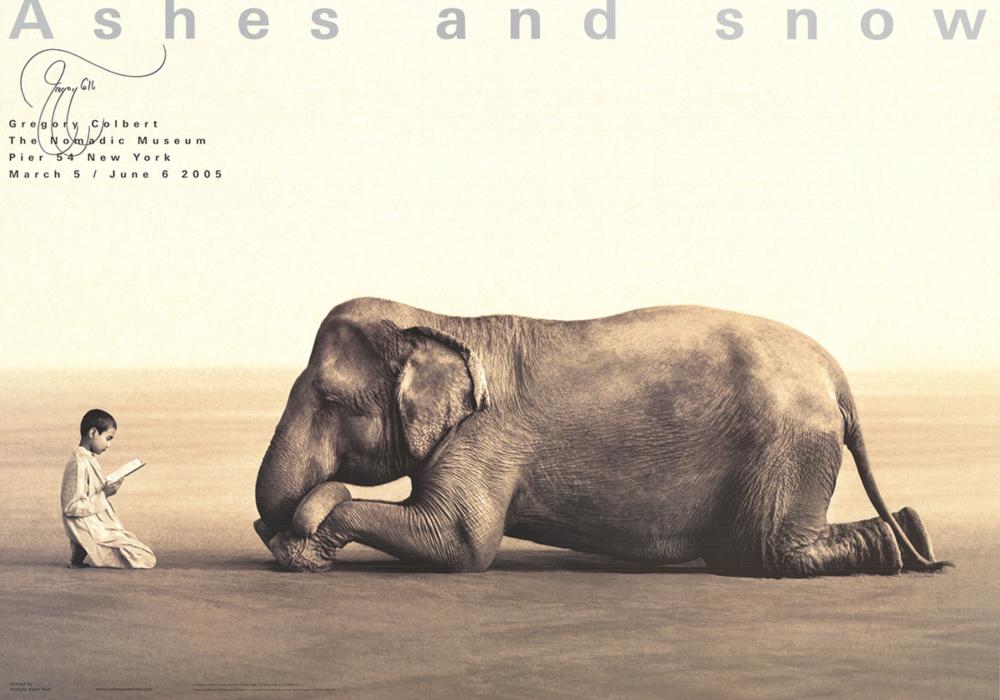 Gregory Colbert comparable auction result: gregory colbert boy reading with elephant 2005 signed
