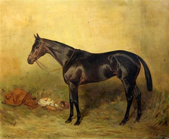 Alfred Grenfell Haigh comparable auction result: alfred grenfell haigh 1870 1963 portrait of a horse beppo 17 x 21in
