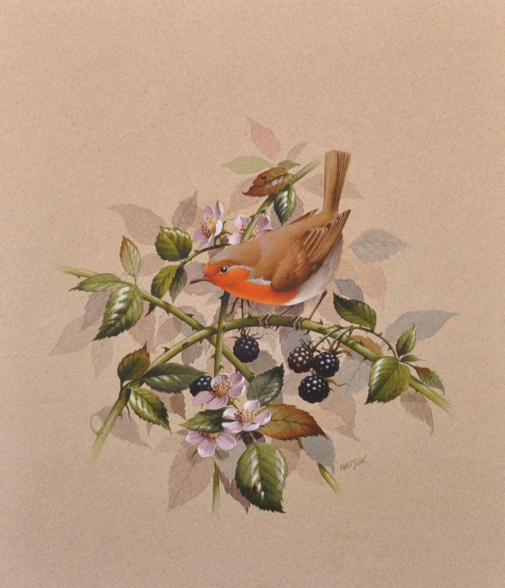 Raymond Cyril Watson comparable auction result: raymond cyril watson 1935 1994 british robin study of a robin redbreast on a blackberry bush watercolour signed and inscribed on reverse unframed 11 25 x 9 75