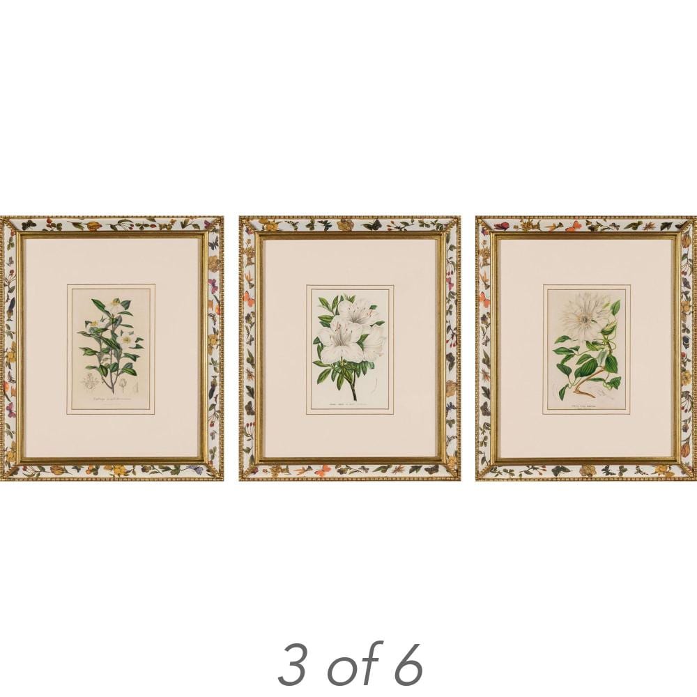 Louis Van Houtte comparable auction result: louis van houtte plant studies six hand colored lithographs