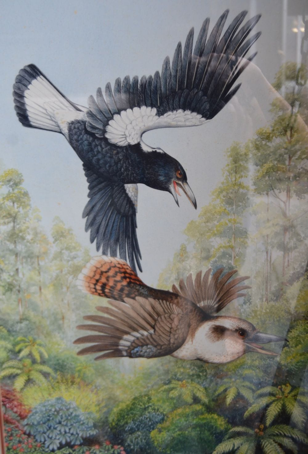 Charles Newman comparable auction result: charles newman kookaburra and magpie in flight