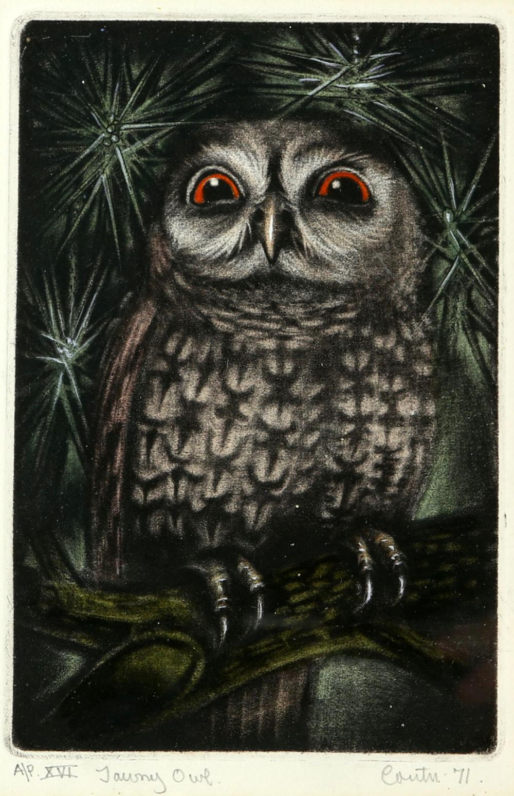 Jack Coutu comparable auction result: raymond john coutu b 1924 tawny owl artist s