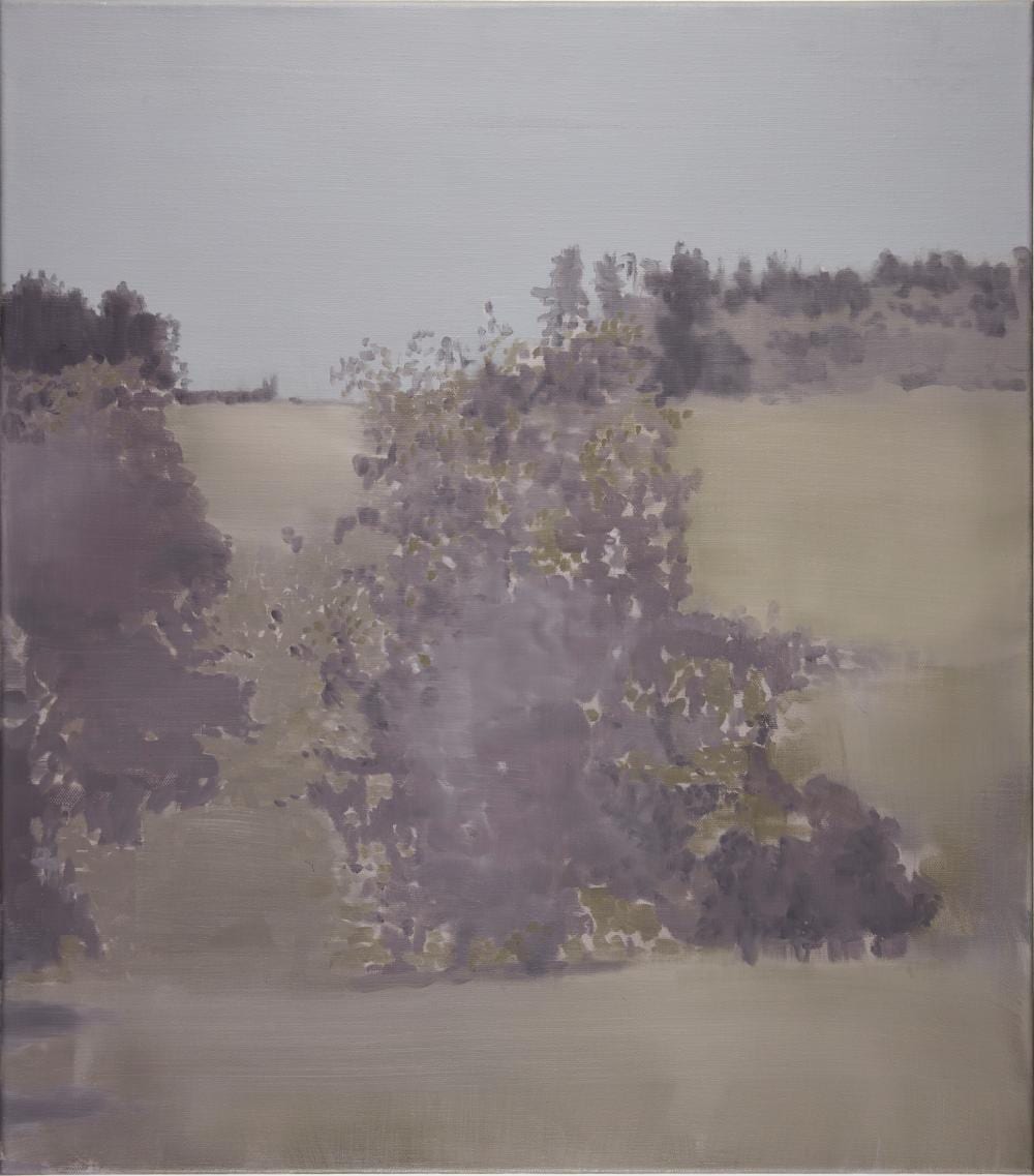 Kiki Lamers comparable auction result: a landscape by kiki lamers