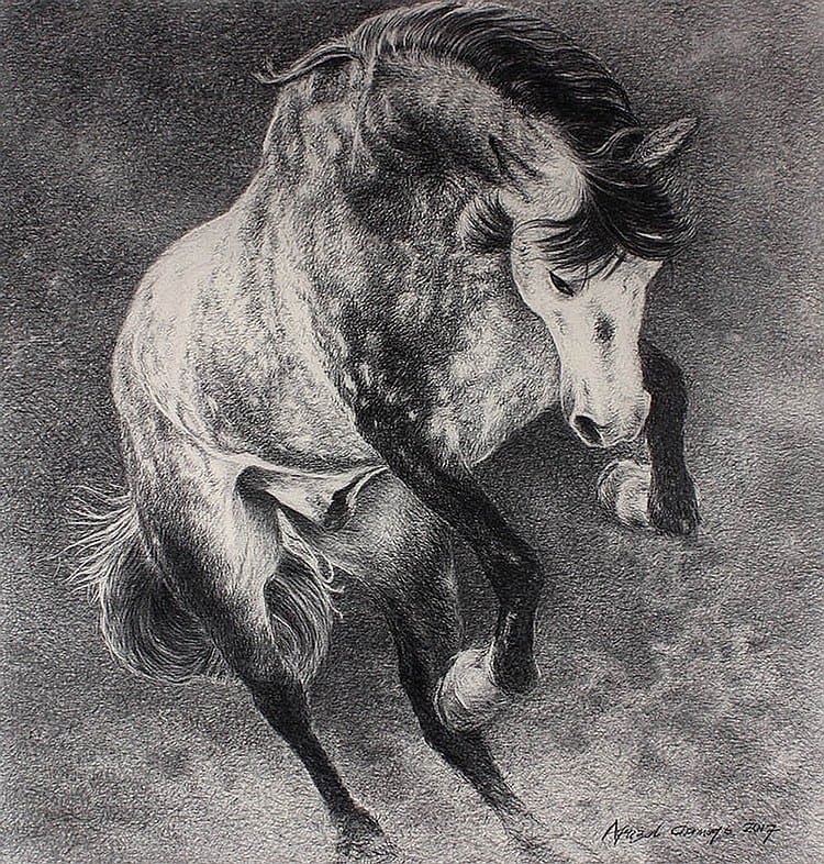 Afrizal Chaniago - Survive 2 comparable sale
