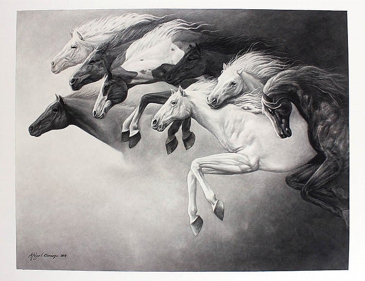 Afrizal Chaniago - Survival #1 comparable sale
