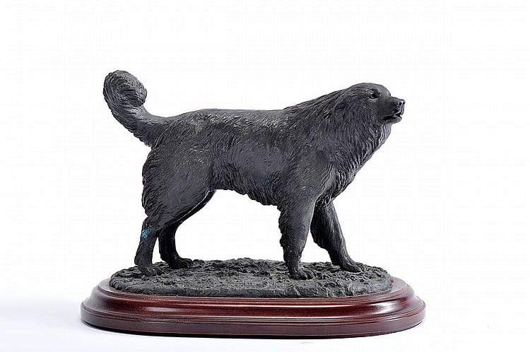 Luis Valadares comparable auction result: serra da estrela dog