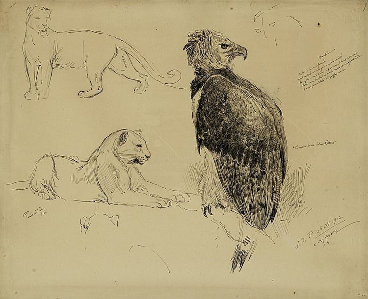 Evert van Muyden comparable auction result: evert van muyden 1853 1922 etude d animaux plume sign e et dat e 25 oct 1902 31x 38 cm