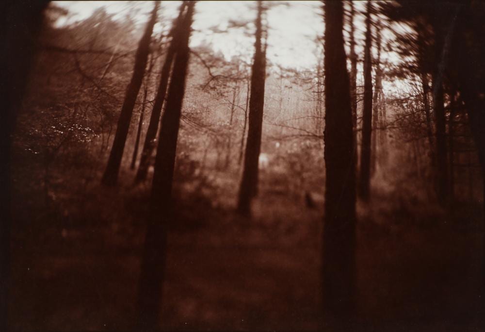 Judith Ross comparable auction result: judith ross b 1946 toned gelatin silver photograph