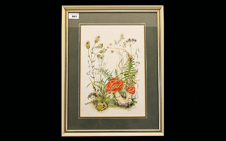 Patience Arnold comparable auction result: patience arnold 1901 1992 watercolour on paper fly argaric mushrooms si