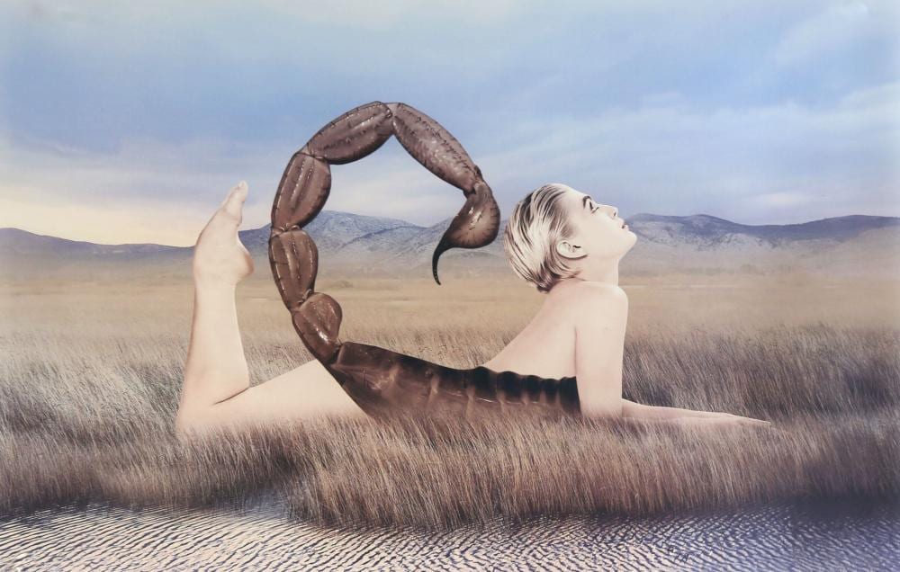 Tan Tolga Demirci comparable auction result: tan tolga demirci turkish b 1974 surrealist la