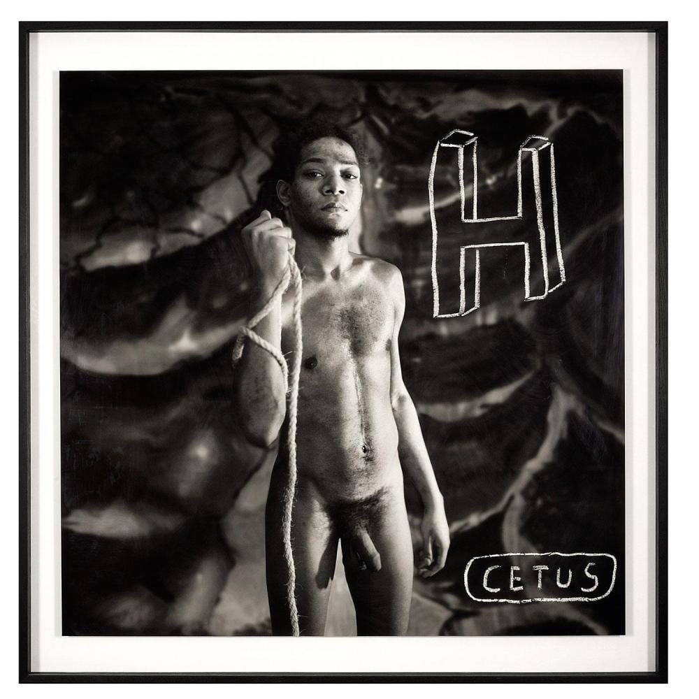 louis jammes n en 1958 le nu la corde 1988 2013 silver print mounted on aluminum signed numbered 1 2 e a and dated on the reve · Tajan · 2019-01-24 Louis Jammes comparable auction result: louis jammes n en 1958 le nu la corde 1988 2013 silver print mounted on aluminum signed numbered 1 2 e a and dated on the reve