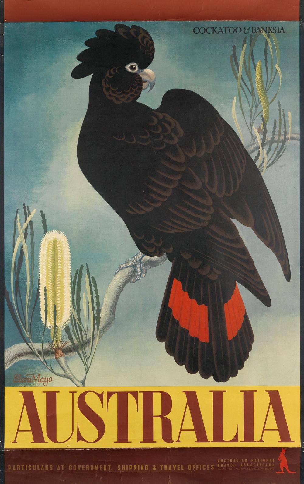 Eileen Mayo comparable auction result: eileen mayo 1906 1994 australia cockatoo banksia 1956 39x25 inches 101x63 cm mclarens melbourne